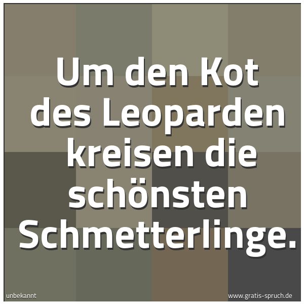 Spruchbild mit dem Text 'Um den Kot des Leoparden
kreisen die schönsten Schmetterlinge.'
