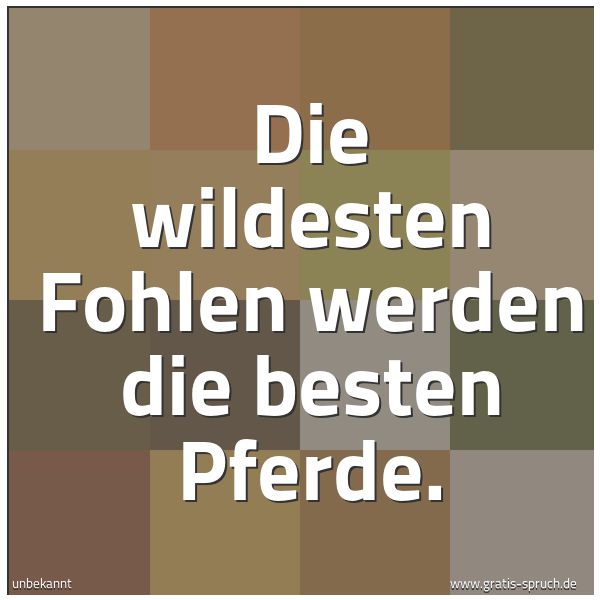 Spruchbild mit dem Text 'Die wildesten Fohlen werden die besten Pferde.'