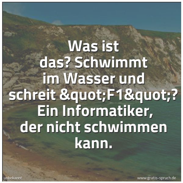 Spruchbild mit dem Text 'Was ist das? Schwimmt im Wasser und schreit 'F1'?
Ein Informatiker, der nicht schwimmen kann. '