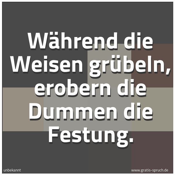 Spruchbild mit dem Text 'Während die Weisen grübeln,
erobern die Dummen die Festung.'