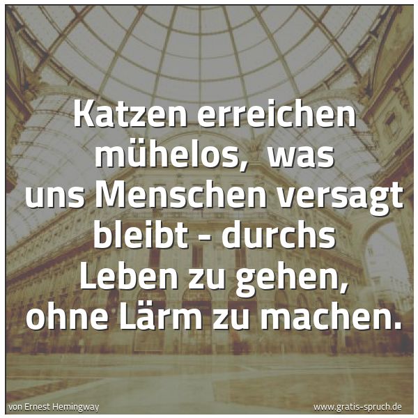 Spruchbild mit dem Text 'Katzen erreichen mühelos,
was uns Menschen versagt bleibt -
durchs Leben zu gehen, ohne Lärm zu machen.'