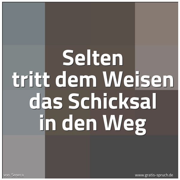 Spruchbild mit dem Text 'Selten tritt dem Weisen das Schicksal in den Weg'