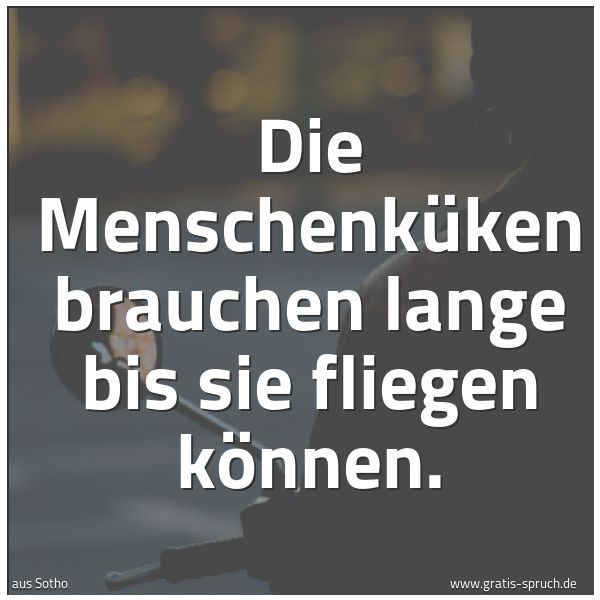Spruchbild mit dem Text 'Die Menschenküken brauchen lange bis sie fliegen können.'