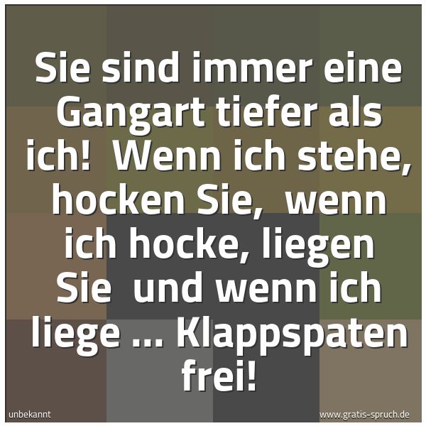 Spruchbild mit dem Text 'Sie sind immer eine Gangart tiefer als ich!
Wenn ich stehe, hocken Sie,
wenn ich hocke, liegen Sie
und wenn ich liege ... Klappspaten frei!'