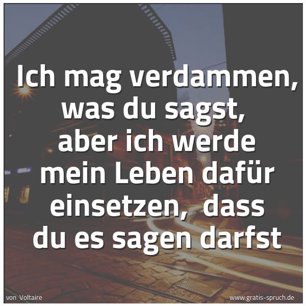 Spruchbild mit dem Text 'Ich mag verdammen, was du sagst,
aber ich werde mein Leben dafür einsetzen,
dass du es sagen darfst'
