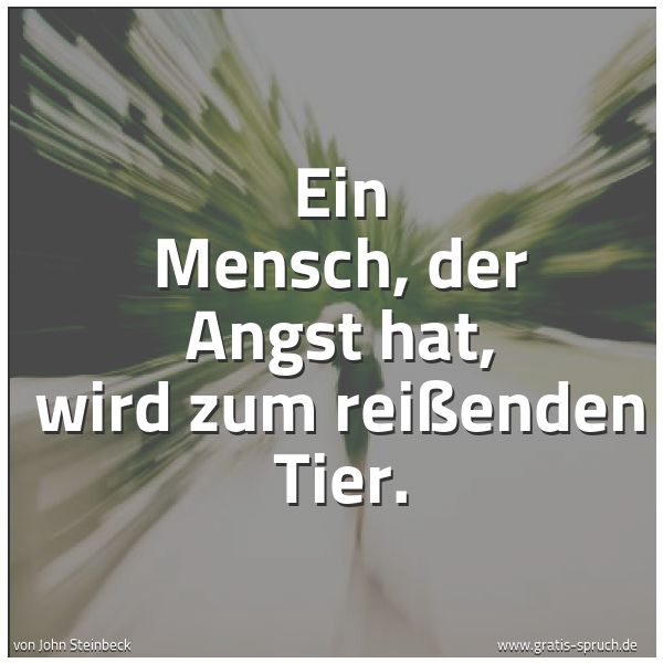 Spruchbild mit dem Text 'Ein Mensch, der Angst hat, wird zum reißenden Tier. '