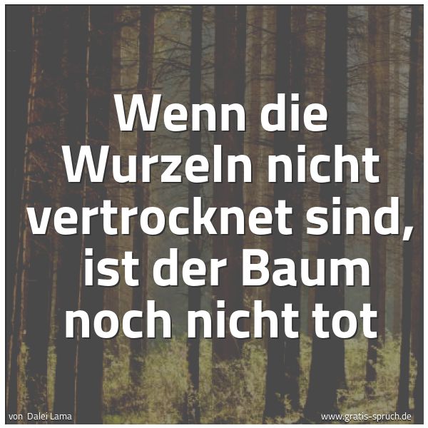 Spruchbild mit dem Text 'Wenn die Wurzeln nicht vertrocknet sind,
ist der Baum noch nicht tot'