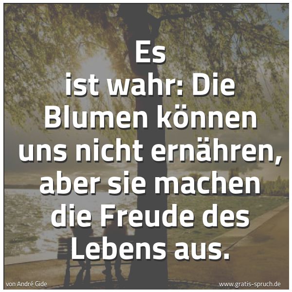 Spruchbild mit dem Text 'Es ist wahr:
Die Blumen können uns nicht ernähren,
aber sie machen die Freude des Lebens aus.'