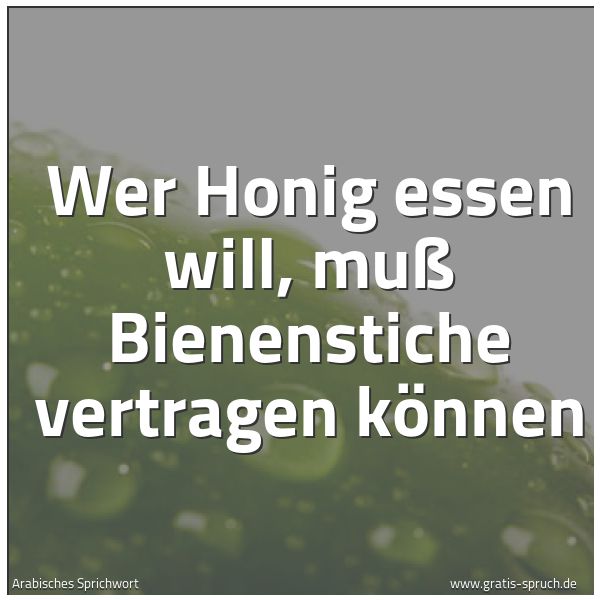Spruchbild mit dem Text 'Wer Honig essen will, muß Bienenstiche vertragen können '