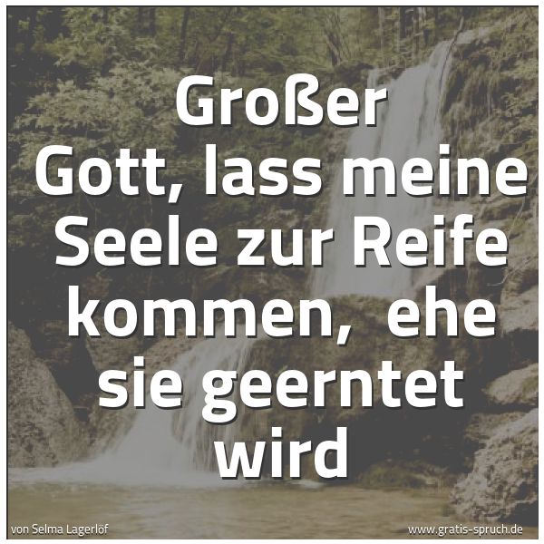 Spruchbild mit dem Text 'Großer Gott, lass meine Seele zur Reife kommen,
ehe sie geerntet wird'