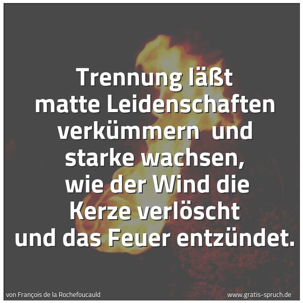 Spruchbild mit dem Text 'Trennung läßt matte Leidenschaften verkümmern
und starke wachsen,
wie der Wind die Kerze verlöscht und das Feuer entzündet. '