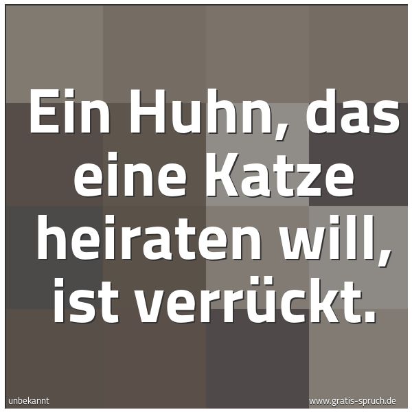 Spruchbild mit dem Text 'Ein Huhn, das eine Katze heiraten will, ist verrückt.'