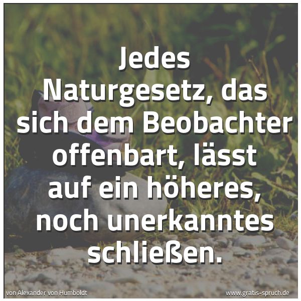 Spruchbild mit dem Text 'Jedes Naturgesetz, das sich dem Beobachter offenbart,
lässt auf ein höheres, noch unerkanntes schließen.'