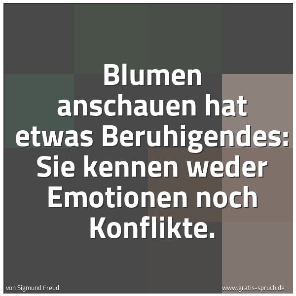 Spruchbild mit dem Text 'Blumen anschauen hat etwas Beruhigendes:
Sie kennen weder Emotionen noch Konflikte.'