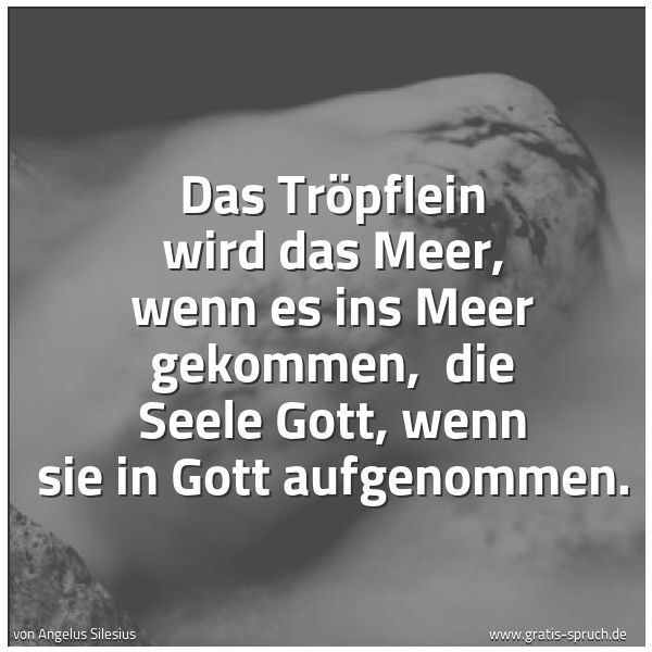 Spruchbild mit dem Text 'Das Tröpflein wird das Meer, wenn es ins Meer gekommen,
die Seele Gott, wenn sie in Gott aufgenommen.'