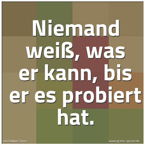Spruchbild mit dem Text 'Niemand weiß, was er kann,
bis er es probiert hat.'