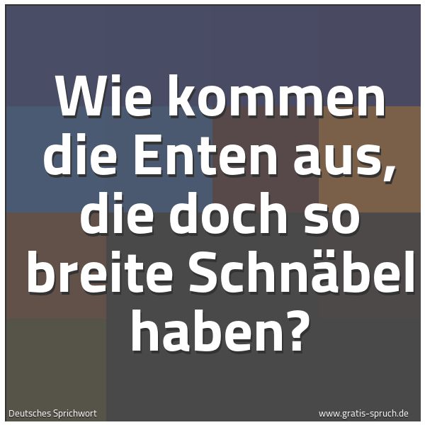 Spruchbild mit dem Text 'Wie kommen die Enten aus,
die doch so breite Schnäbel haben?'