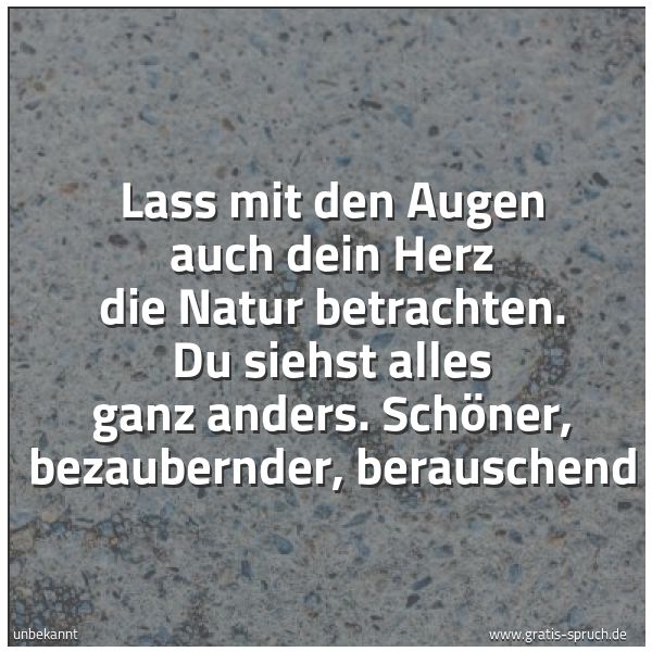 Spruchbild mit dem Text 'Lass mit den Augen auch dein Herz die Natur betrachten.
Du siehst alles ganz anders.
Schöner, bezaubernder, berauschend'