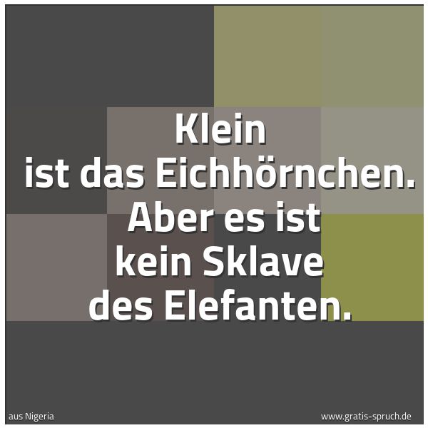 Spruchbild mit dem Text 'Klein ist das Eichhörnchen.
Aber es ist kein Sklave des Elefanten.'