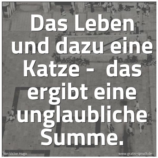 Spruchbild mit dem Text 'Das Leben und dazu eine Katze -
das ergibt eine unglaubliche Summe.'