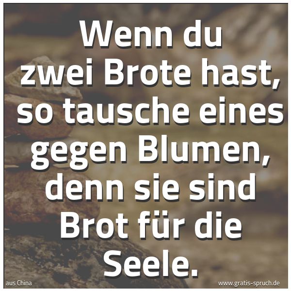 Spruchbild mit dem Text 'Wenn du zwei Brote hast,
so tausche eines gegen Blumen,
denn sie sind Brot für die Seele.'