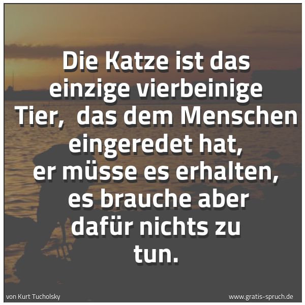 Spruchbild mit dem Text 'Die Katze ist das einzige vierbeinige Tier,
das dem Menschen eingeredet hat, er müsse es erhalten,
es brauche aber dafür nichts zu tun. '