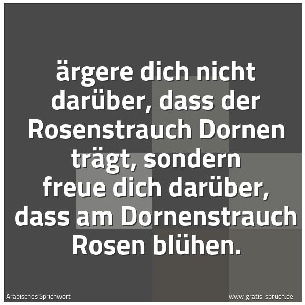 Spruchbild mit dem Text 'Ärgere dich nicht darüber,
dass der Rosenstrauch Dornen trägt,
sondern freue dich darüber,
dass am Dornenstrauch Rosen blühen.'