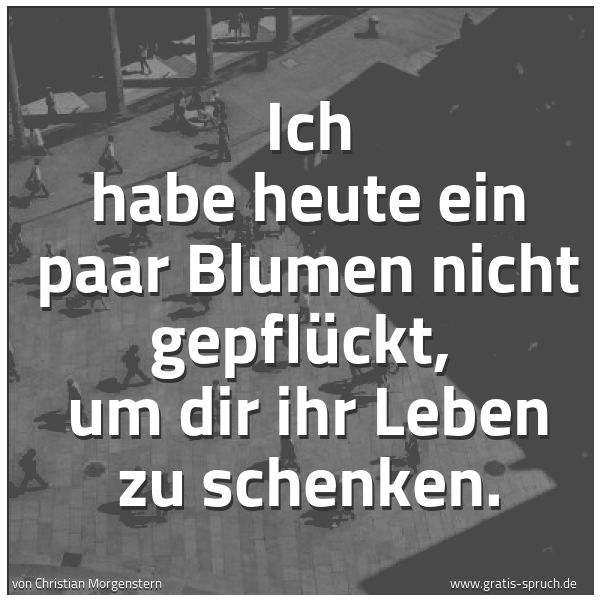 Spruchbild mit dem Text 'Ich habe heute ein paar Blumen nicht gepflückt,
um dir ihr Leben zu schenken.'