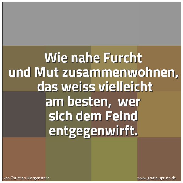 Spruchbild mit dem Text 'Wie nahe Furcht und Mut zusammenwohnen,
das weiss vielleicht am besten,
wer sich dem Feind entgegenwirft.'