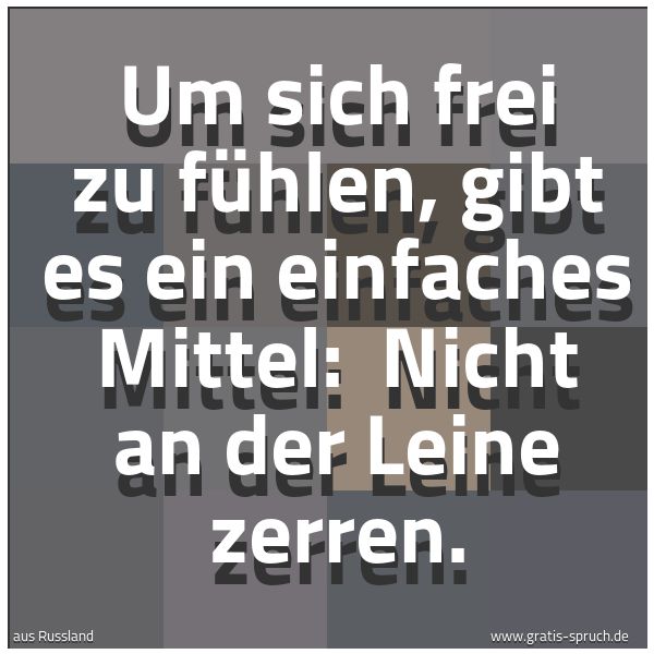 Spruchbild mit dem Text 'Um sich frei zu fühlen, gibt es ein einfaches Mittel:
Nicht an der Leine zerren.'