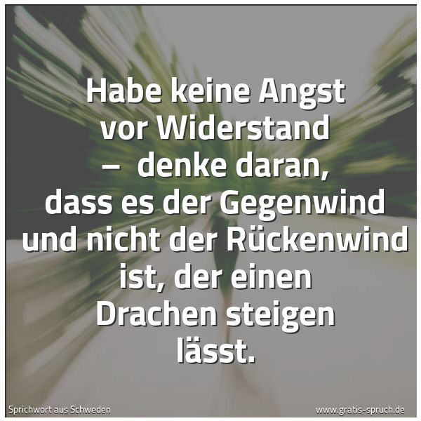 Spruchbild mit dem Text 'Habe keine Angst vor Widerstand –
denke daran, dass es der Gegenwind und nicht der Rückenwind ist, der einen Drachen steigen lässt.'