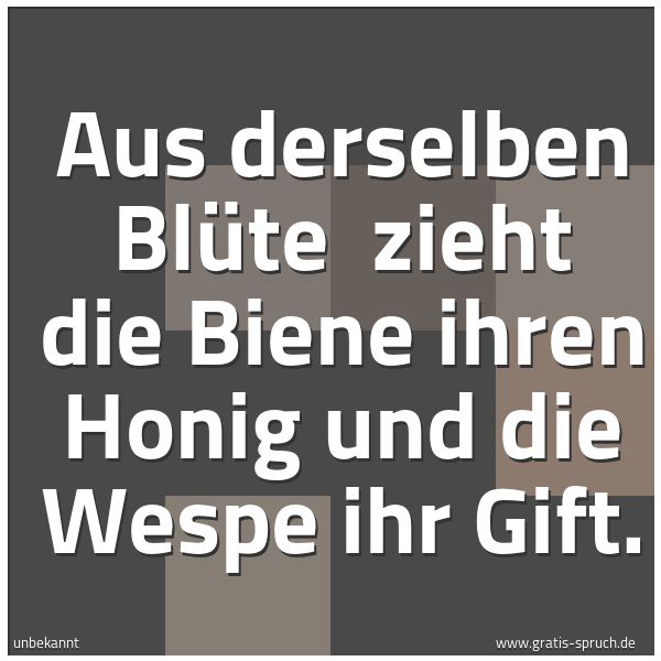 Spruchbild mit dem Text 'Aus derselben Blüte
zieht die Biene ihren Honig und die Wespe ihr Gift. '