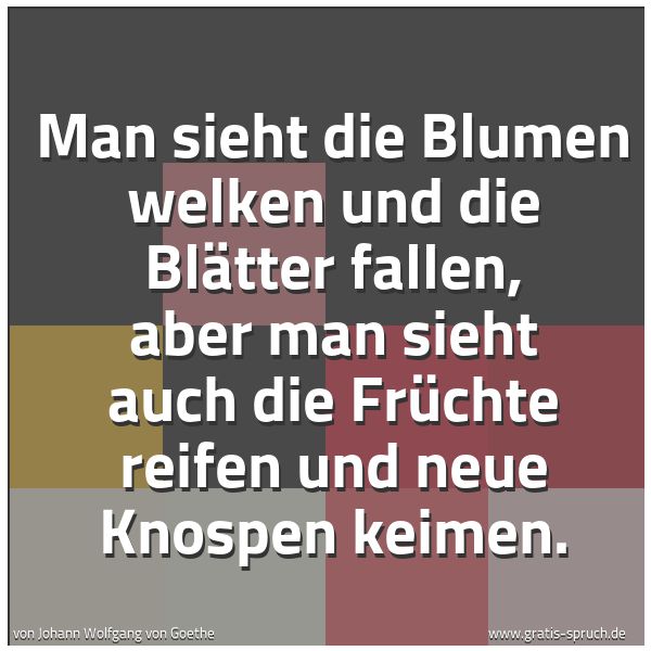 Spruchbild mit dem Text 'Man sieht die Blumen welken
und die Blätter fallen,
aber man sieht auch die Früchte reifen
und neue Knospen keimen.'
