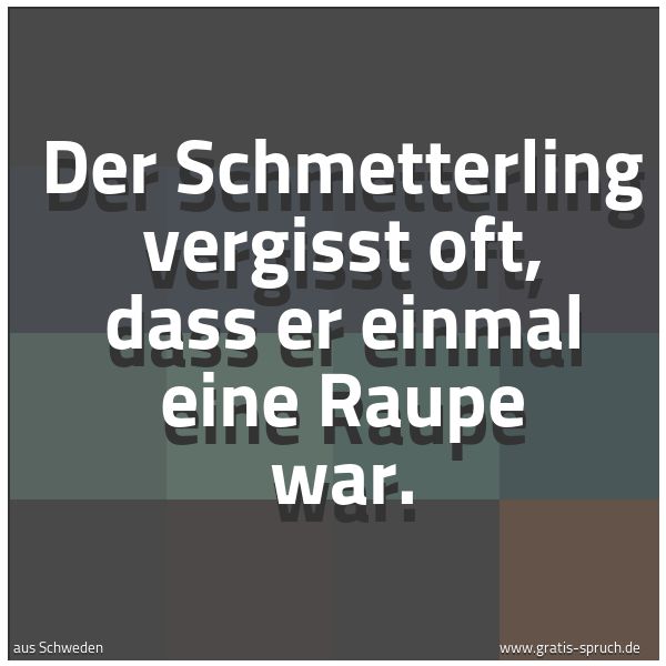 Spruchbild mit dem Text 'Der Schmetterling vergisst oft,
dass er einmal eine Raupe war.'