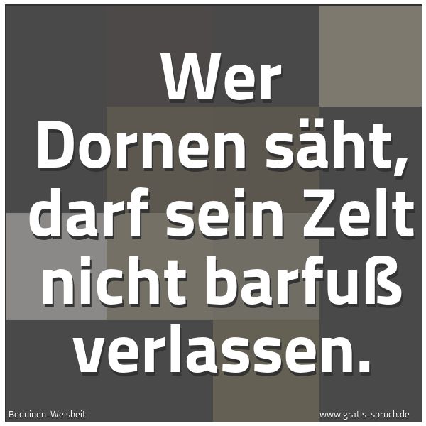 Spruchbild mit dem Text 'Wer Dornen säht, darf sein Zelt nicht barfuß verlassen.'