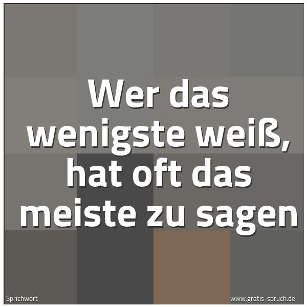 Spruchbild mit dem Text 'Wer das wenigste weiß,
hat oft das meiste zu sagen'