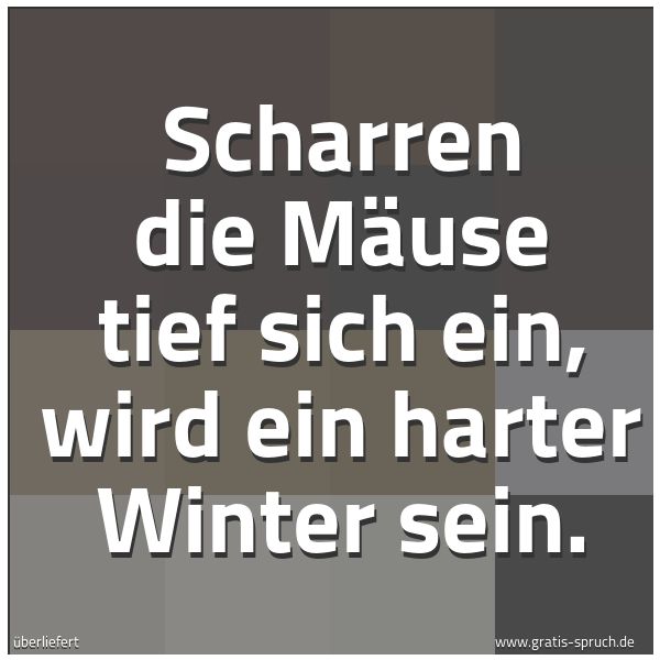 Spruchbild mit dem Text 'Scharren die Mäuse tief sich ein,
wird ein harter Winter sein.'