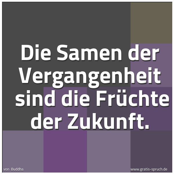 Spruchbild mit dem Text 'Die Samen der Vergangenheit
sind die Früchte der Zukunft. '