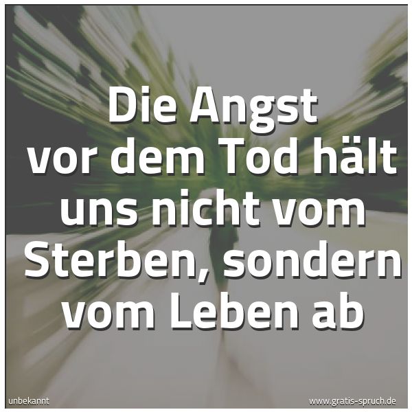 Spruchbild mit dem Text 'Die Angst vor dem Tod
hält uns nicht vom Sterben,
sondern vom Leben ab'