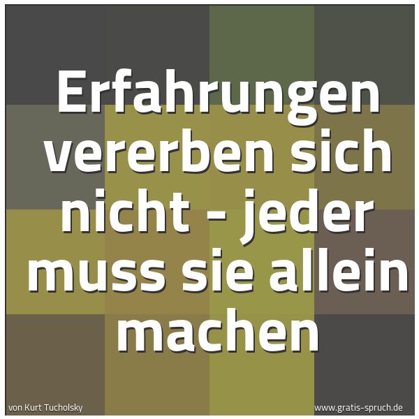 Spruchbild mit dem Text 'Erfahrungen vererben sich nicht -
jeder muss sie allein machen'