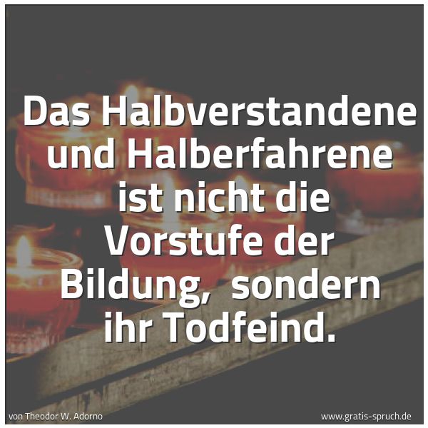 Spruchbild mit dem Text 'Das Halbverstandene und Halberfahrene
ist nicht die Vorstufe der Bildung,
sondern ihr Todfeind.'