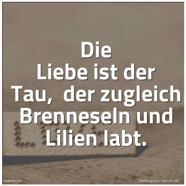 Spruchbild mit dem Text 'Die Liebe ist der Tau,
der zugleich Brenneseln und Lilien labt.'