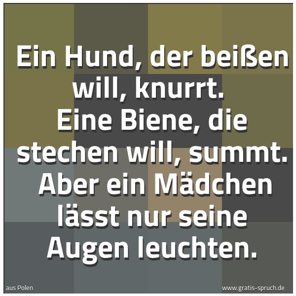 Spruchbild mit dem Text 'Ein Hund, der beißen will, knurrt.
Eine Biene, die stechen will, summt.
Aber ein Mädchen lässt nur seine Augen leuchten.'