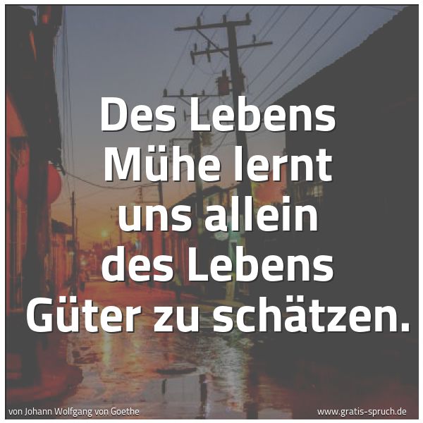 Spruchbild mit dem Text 'Des Lebens Mühe lernt uns allein
des Lebens Güter zu schätzen.'