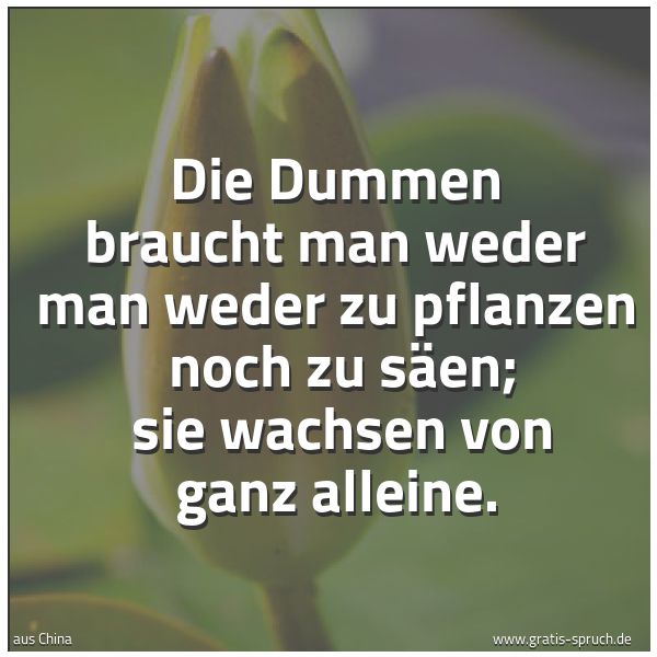 Spruchbild mit dem Text 'Die Dummen braucht man weder man weder zu pflanzen
noch zu säen;
sie wachsen von ganz alleine.'