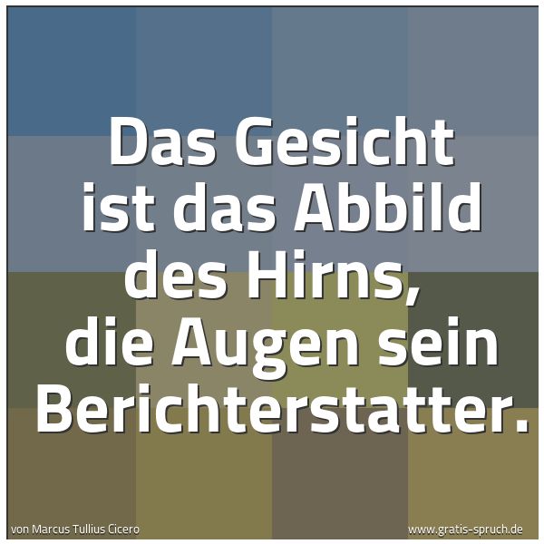 Spruchbild mit dem Text 'Das Gesicht ist das Abbild des Hirns,
die Augen sein Berichterstatter.'