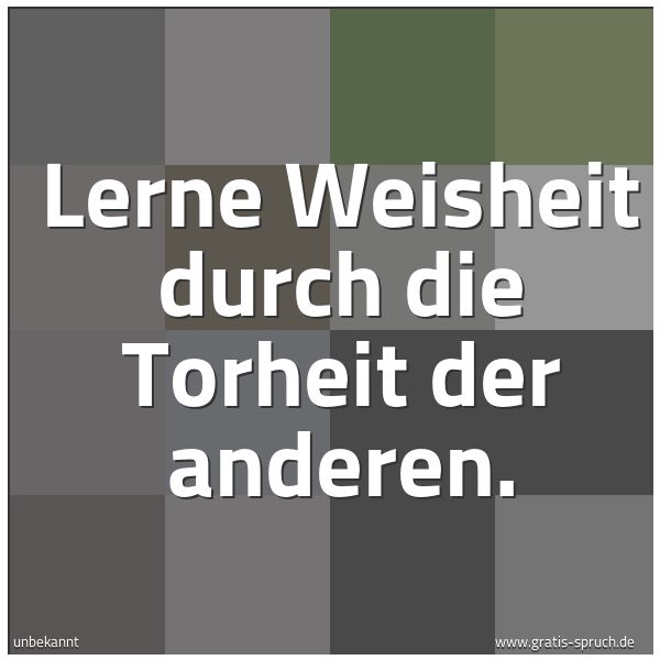 Spruchbild mit dem Text 'Lerne Weisheit durch die Torheit der anderen.'