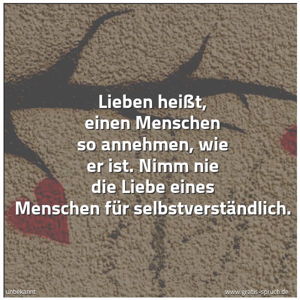 Spruchbild mit dem Text 'Lieben heißt, einen Menschen so annehmen, wie er ist.
Nimm nie die Liebe eines Menschen für selbstverständlich.'