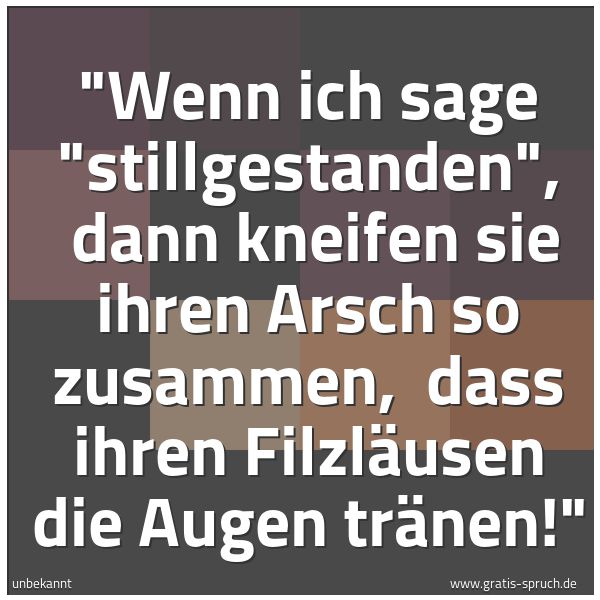 Spruchbild mit dem Text ''Wenn ich sage 'stillgestanden',
dann kneifen sie ihren Arsch so zusammen,
dass ihren Filzläusen die Augen tränen!' '