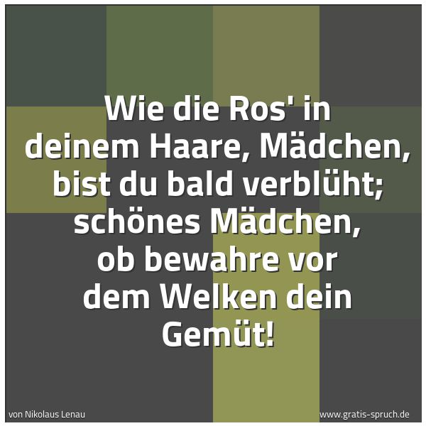 Spruchbild mit dem Text 'Wie die Ros' in deinem Haare,
Mädchen, bist du bald verblüht;
schönes Mädchen, ob bewahre
vor dem Welken dein Gemüt!'